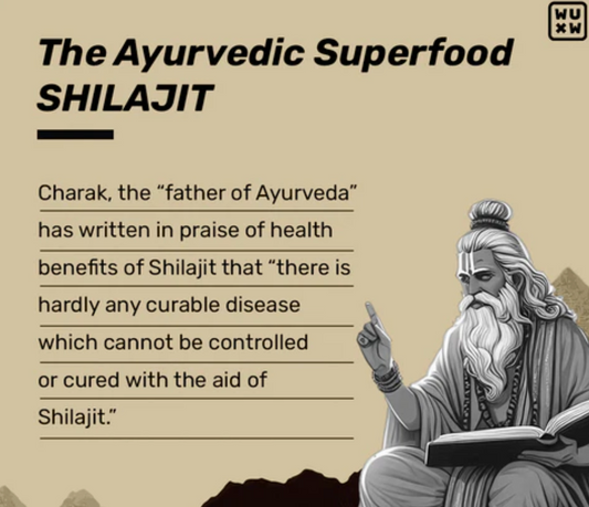 Shilajit for Men: How It Increases Their Energy and Stamina