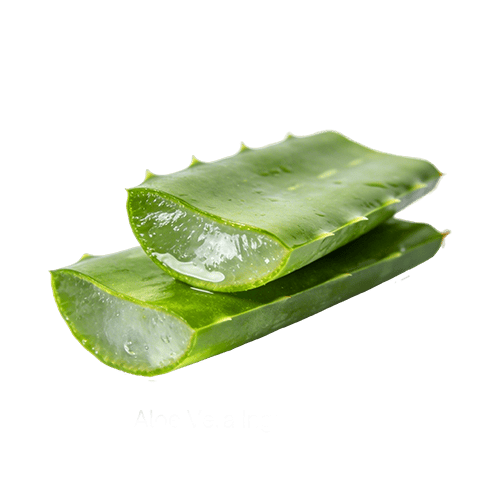 files/Aloe_Vera.png