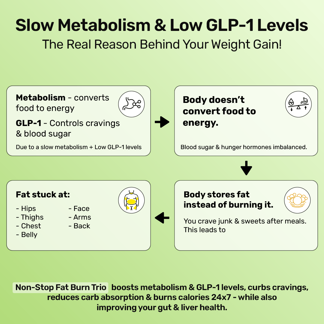 Non-Stop Fat Burn Trio