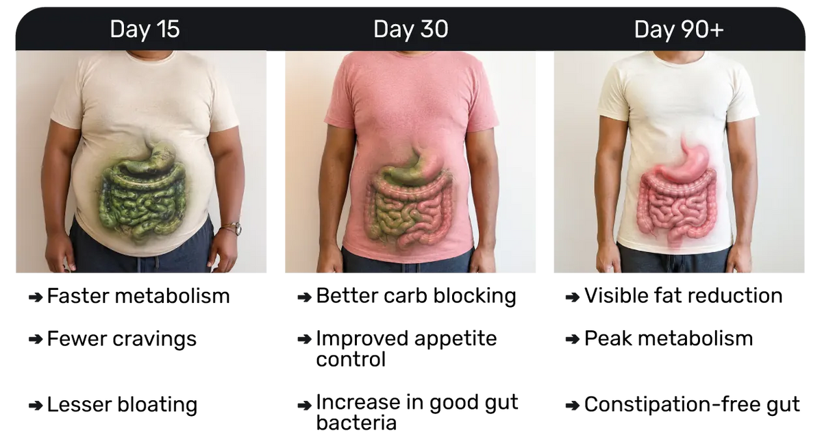 files/DB_Gut_Transformation_566bb500-d303-4853-b941-371a92e57605.webp