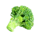 files/Folic_Acid.png