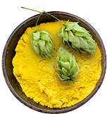 files/Hops_Extract.png