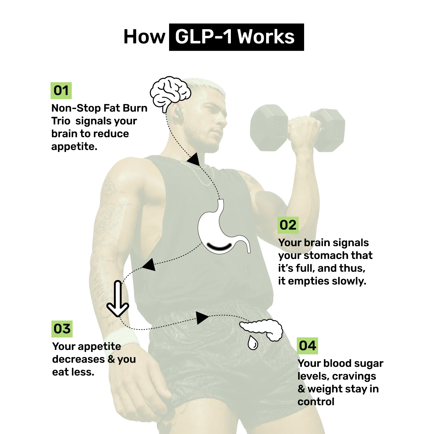 files/How_GLP-1_Works.webp