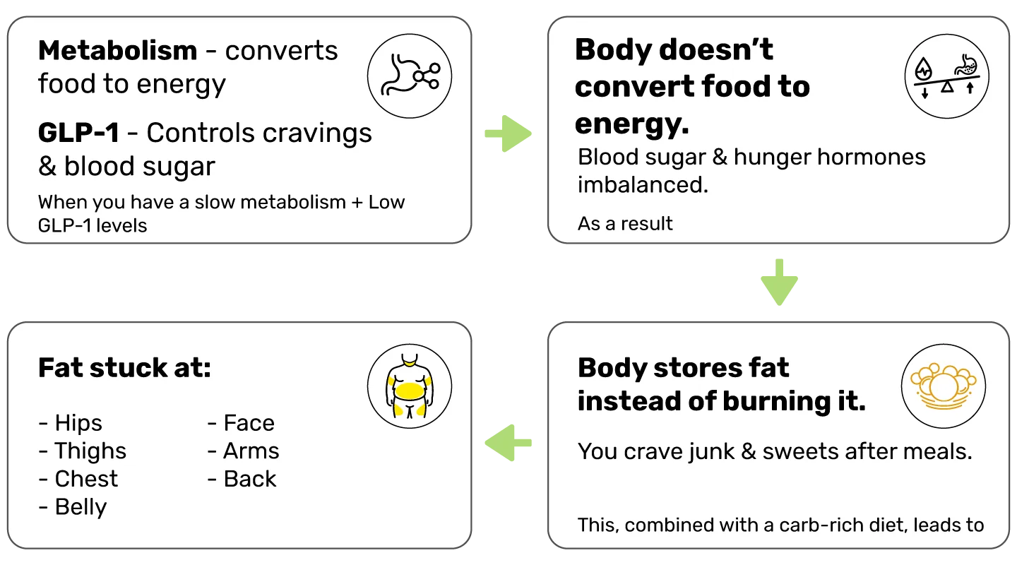 files/Slow_Metabolism_Low_GLP-1_Levels.webp