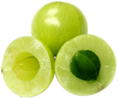  Amla 