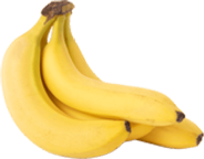  FOS 