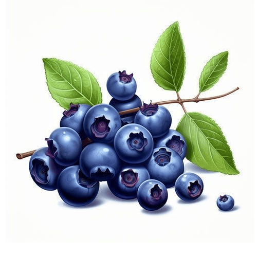 Blueberry