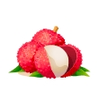 Litchi